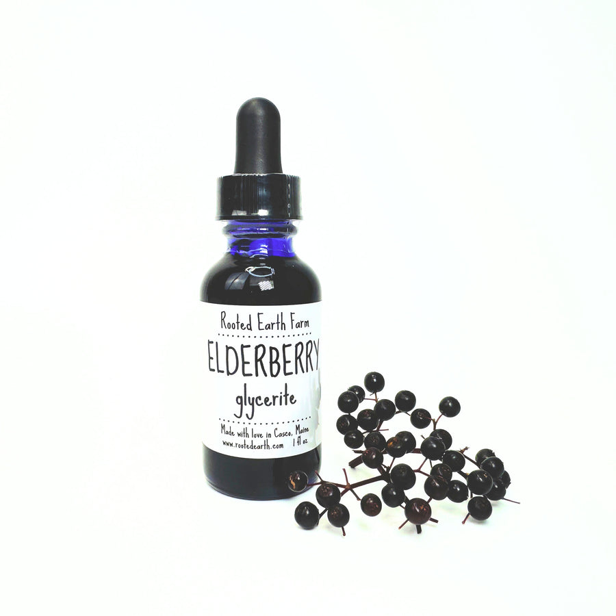 Elderberry Glycerite