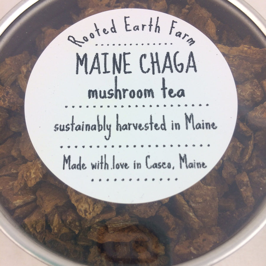 Chaga Tea - Maine Chaga Mushroom Tea - Inonotus obliquus - Chaga Chunks - Chaga Tea Chunks - Organic Chaga - Wild Chaga