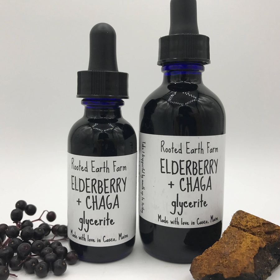 Elderberry and Chaga Glycerite