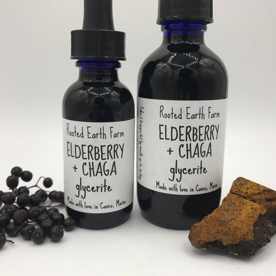 Elderberry and Chaga Glycerite