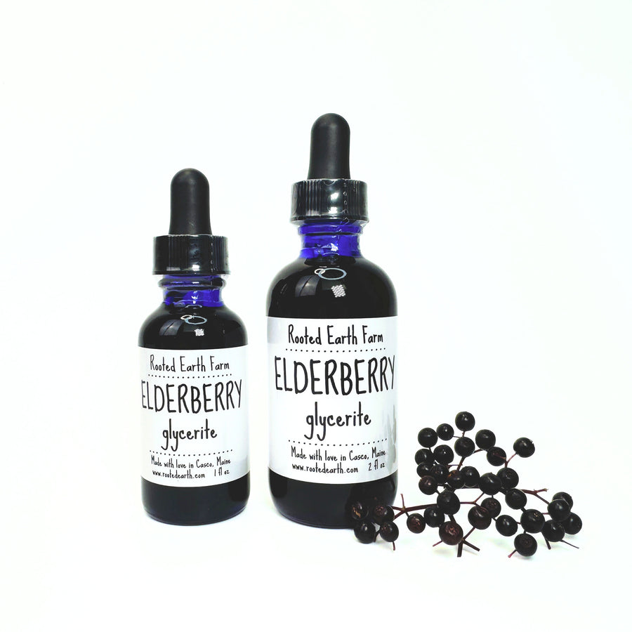 Elderberry Glycerite