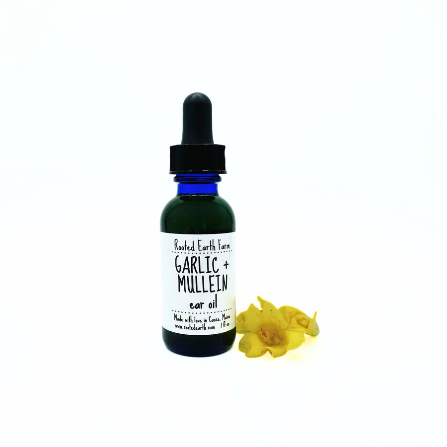 Garlic Ear Oil with Mullein Flowers infused