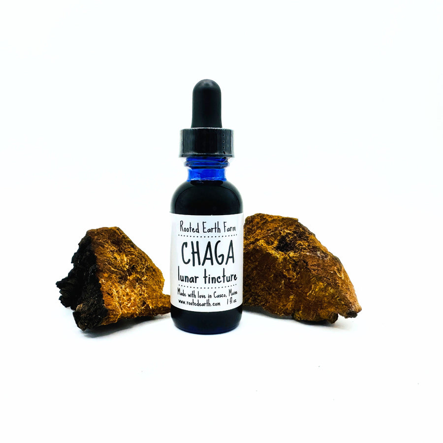 1 oz chaga mushroom tincture