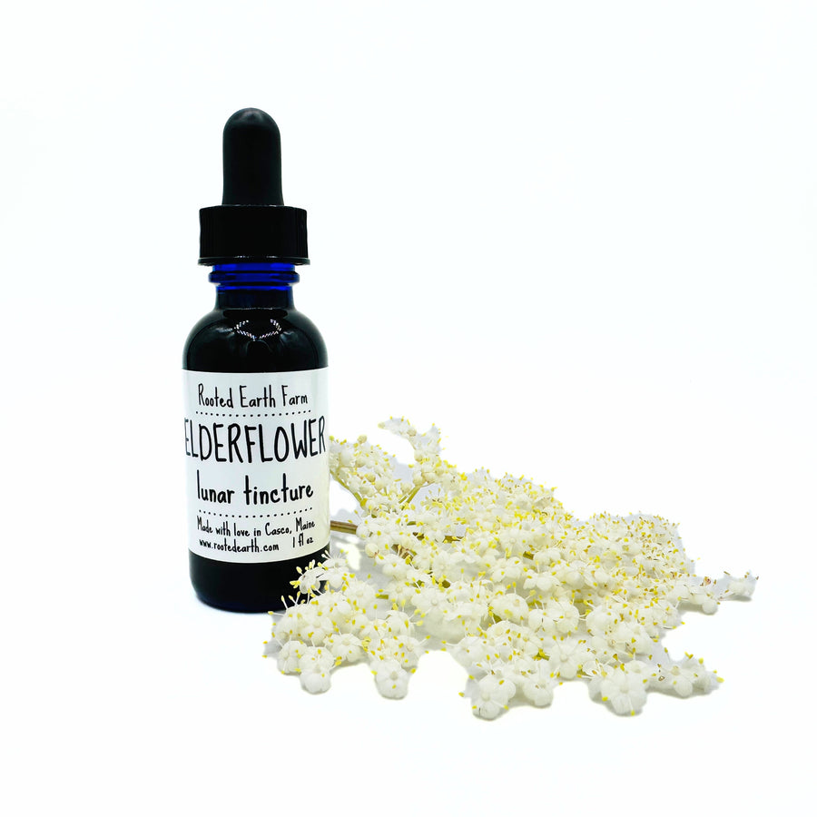 1 oz elder flower tincture