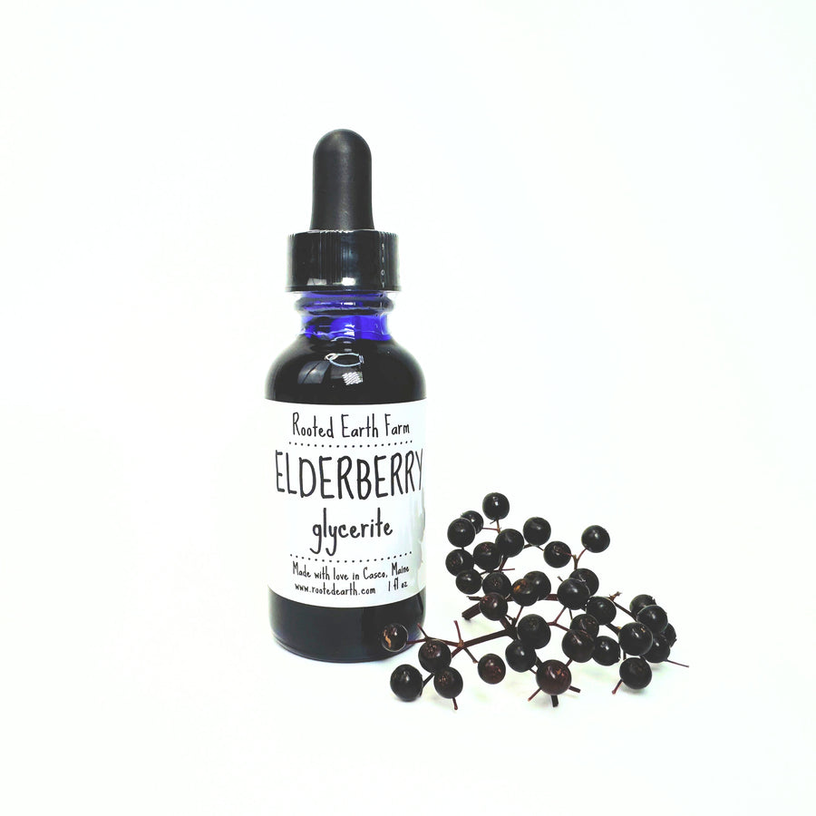 1 oz elderberry glycerite, elderberry supplement, elderberry extract, non-gmo, vegetarian