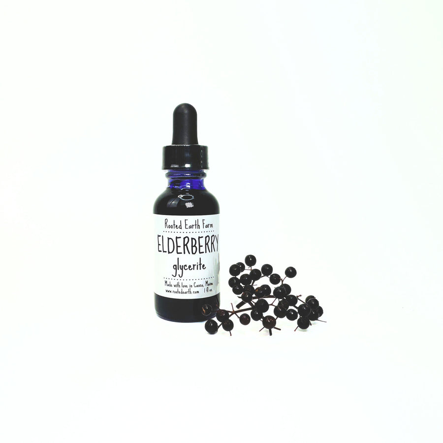 plant based elderberry extract, elderberry syrup, vegan elderberry supplement