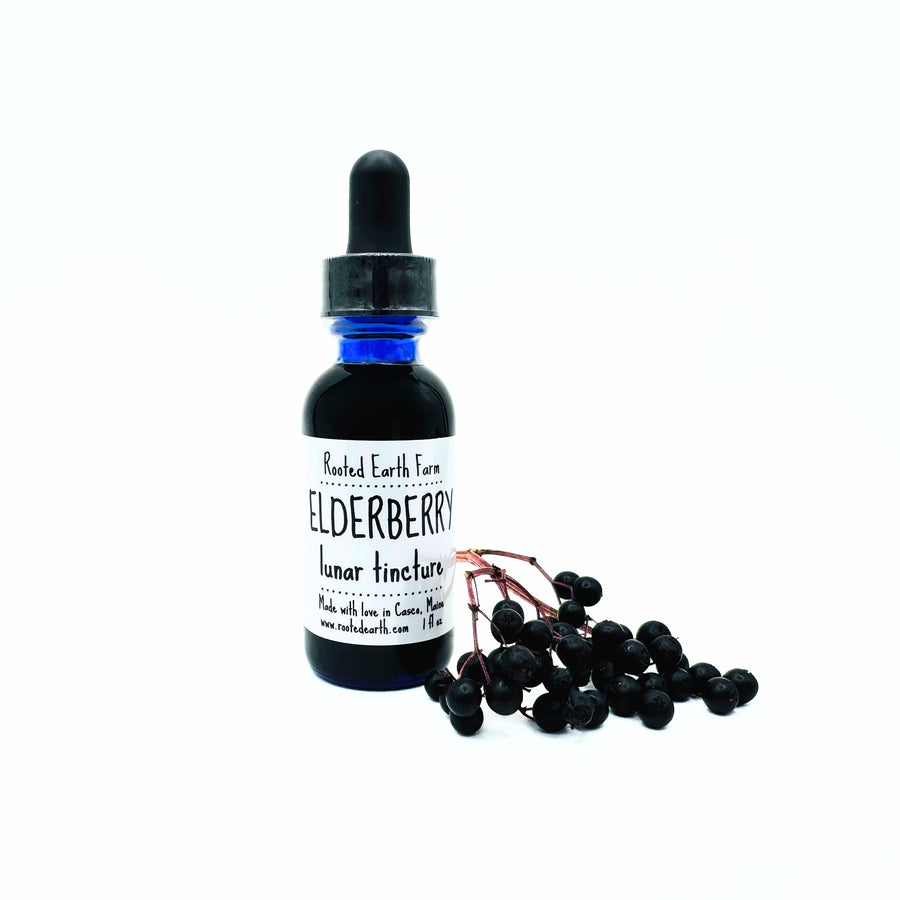 1 oz elderberry tincture