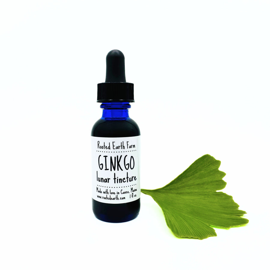 1 oz ginkgo tincture