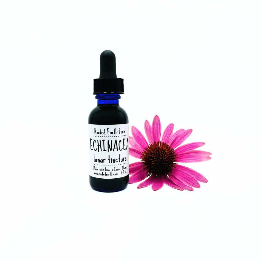1 oz gluten free echinacea purpurea root extract