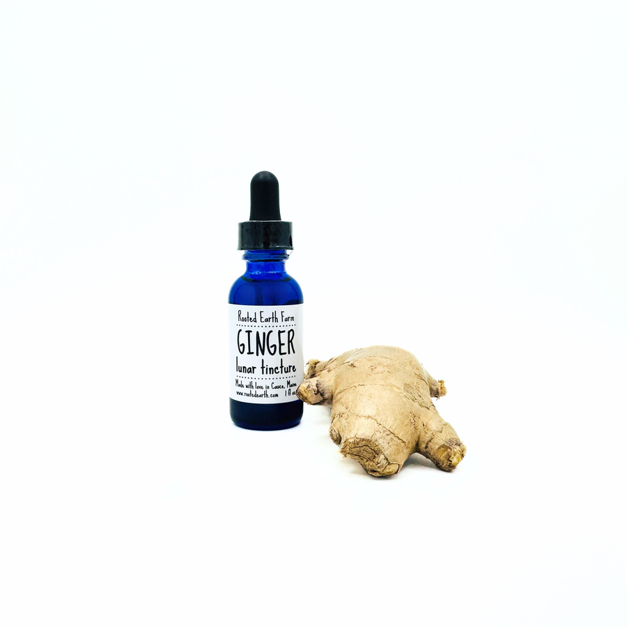 1 oz gluten free ginger extract