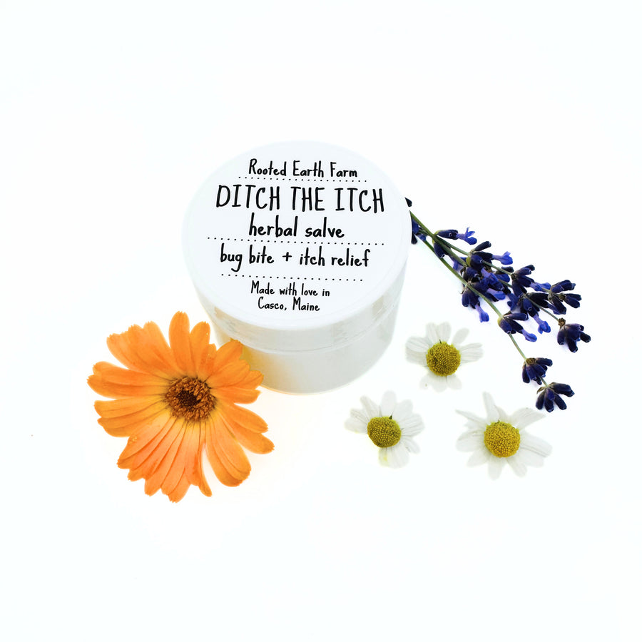 1 oz herbal salve for itching
