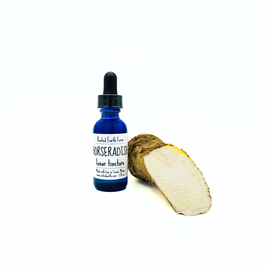 1 oz horseradish extract
