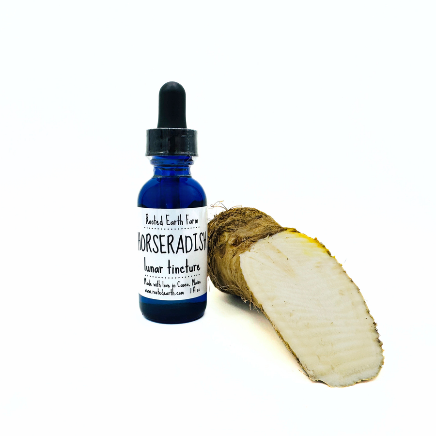 1 oz horseradish tincture