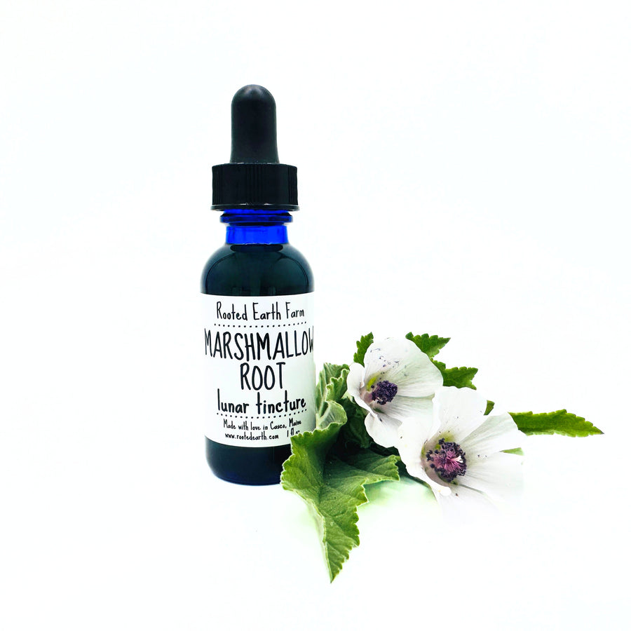 1 oz marshmallow root tincture