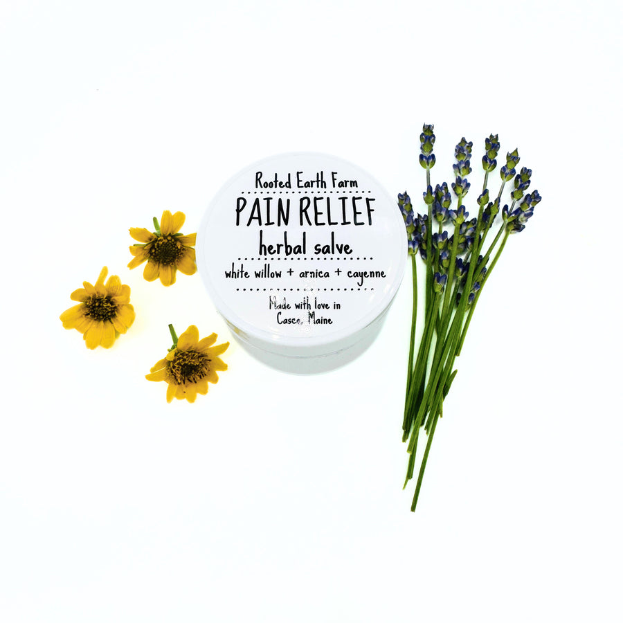 1 oz pain relief herbal salve