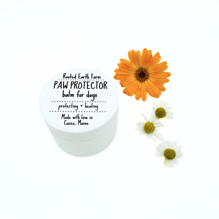 1 oz paw balm for dogs