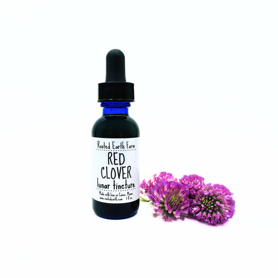 1 oz red clover extract