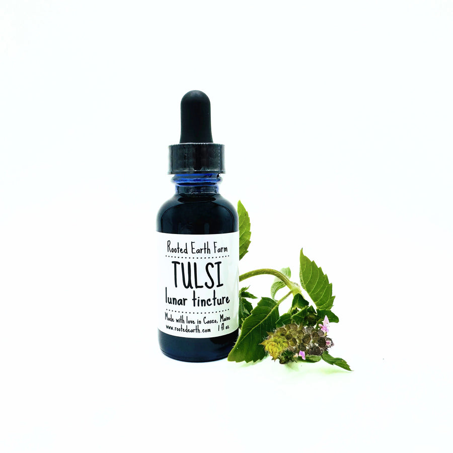 1 oz tulsi extract, holy basil extract