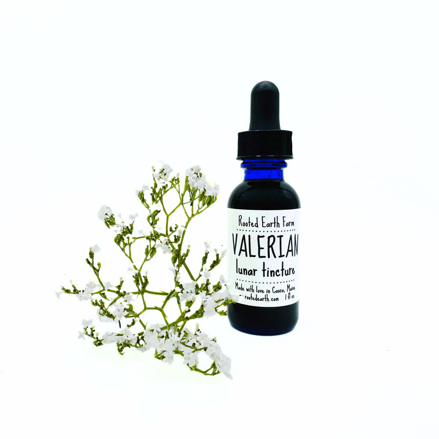 1 oz valerian root extract