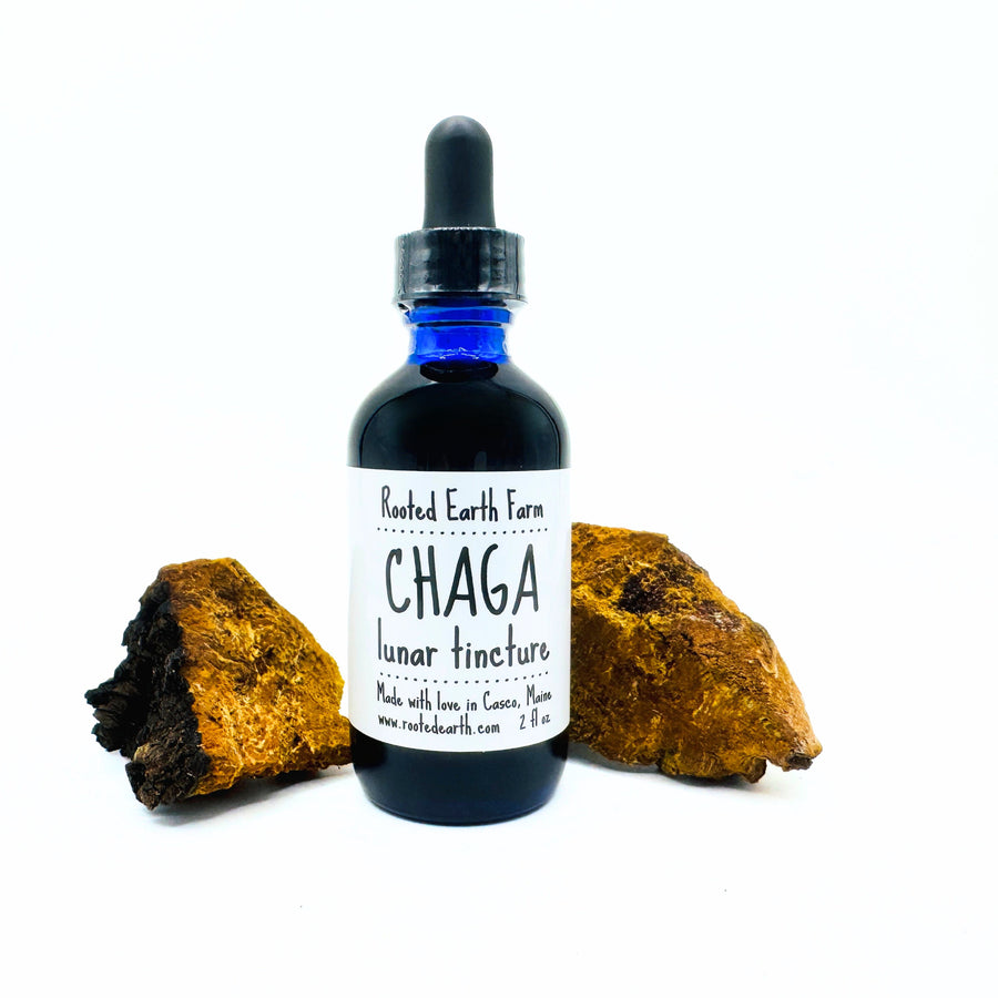 2 oz chaga mushroom extract, chaga tincture, chaga supplement