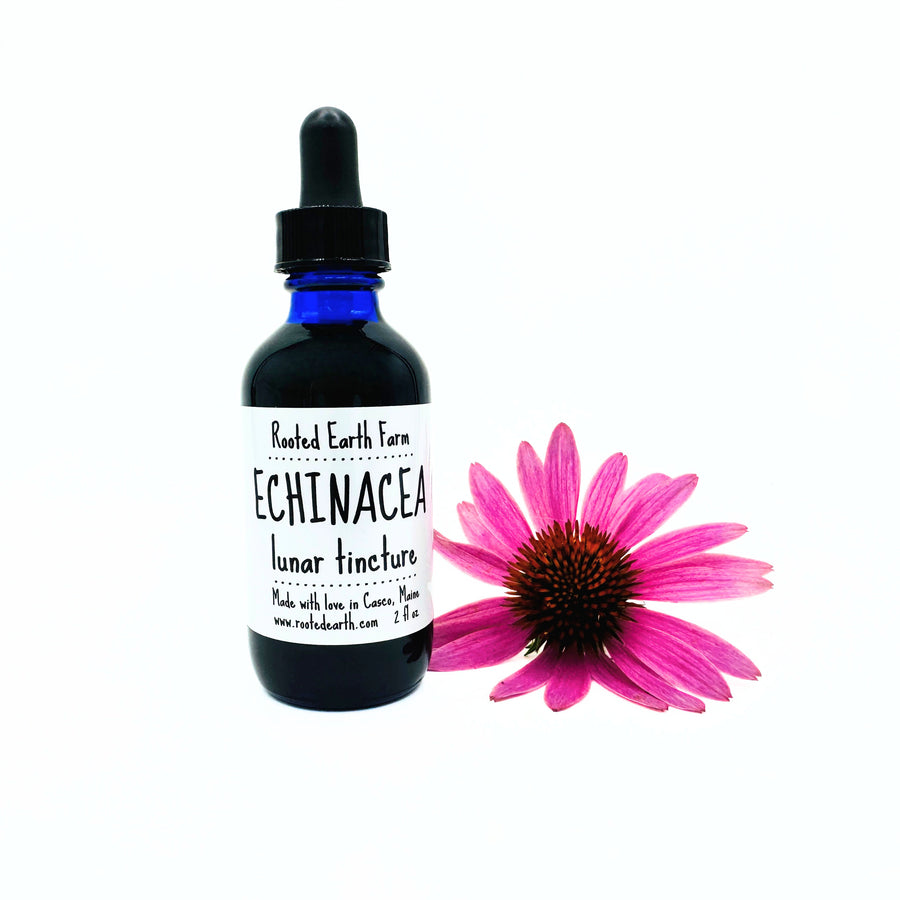 2 oz echinacea purpurea tincture