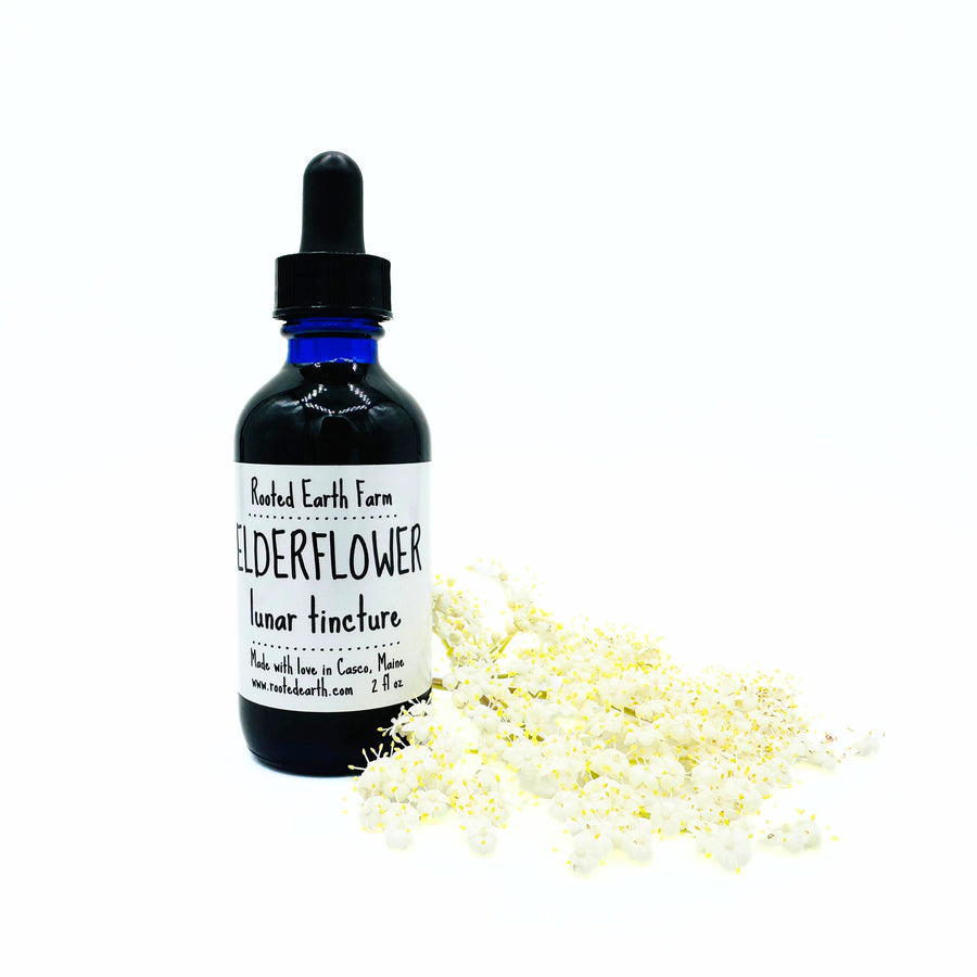 2 oz elder flower extract