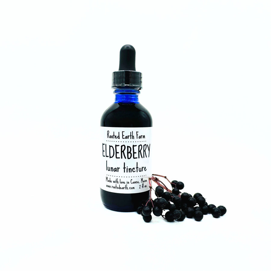 2 oz elderberry extract