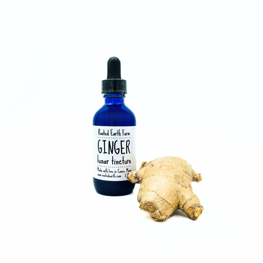 2 oz gluten free ginger extract