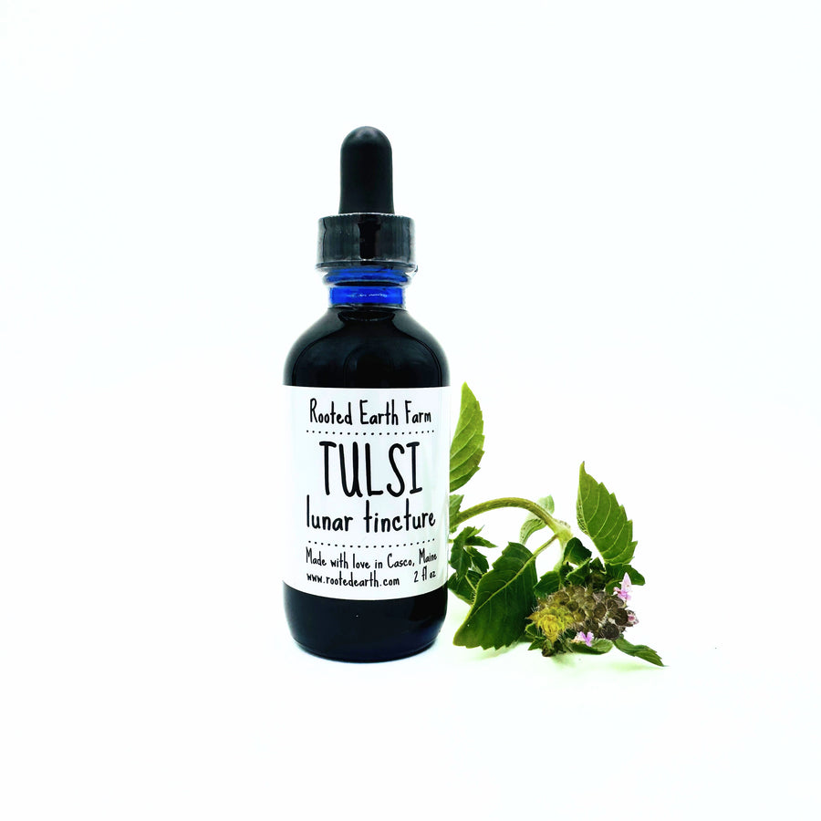 2 oz holy basil tincture