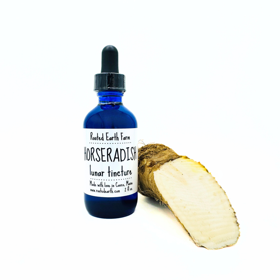 2 oz horseradish tincture
