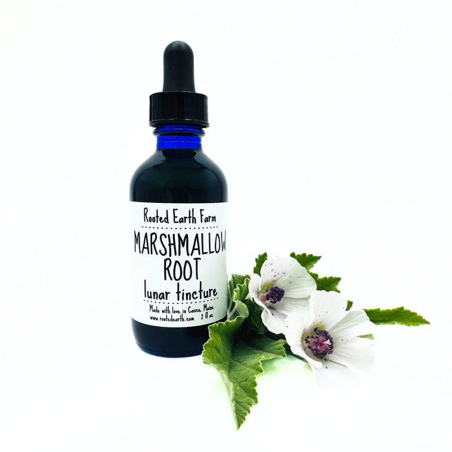 2 oz marshmallow root tincture