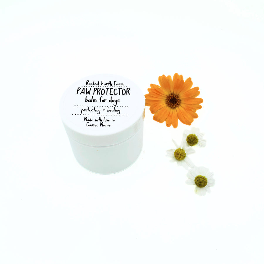 2 oz paw cream for dogs