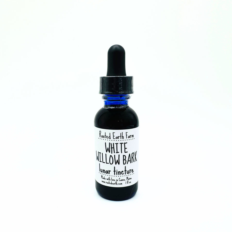 White Willow Bark Tincture