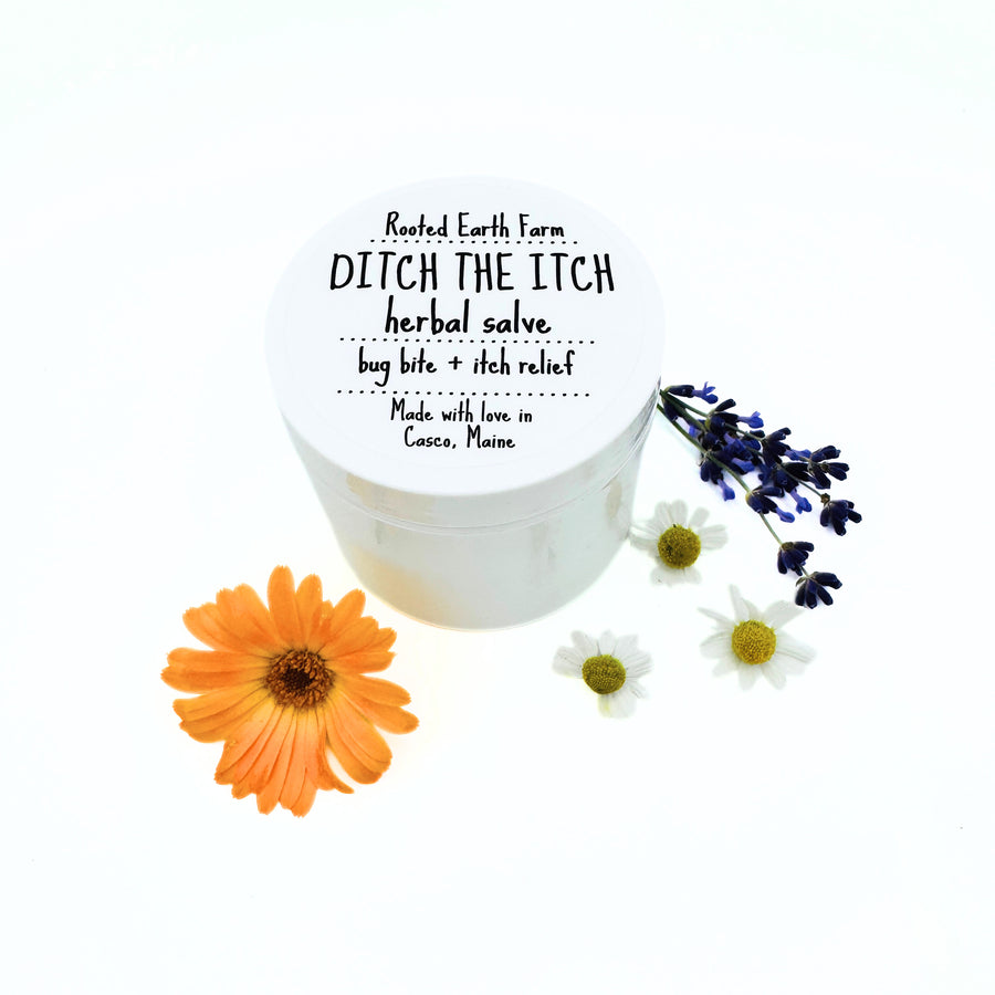 4 oz ditch the itch herbal salve