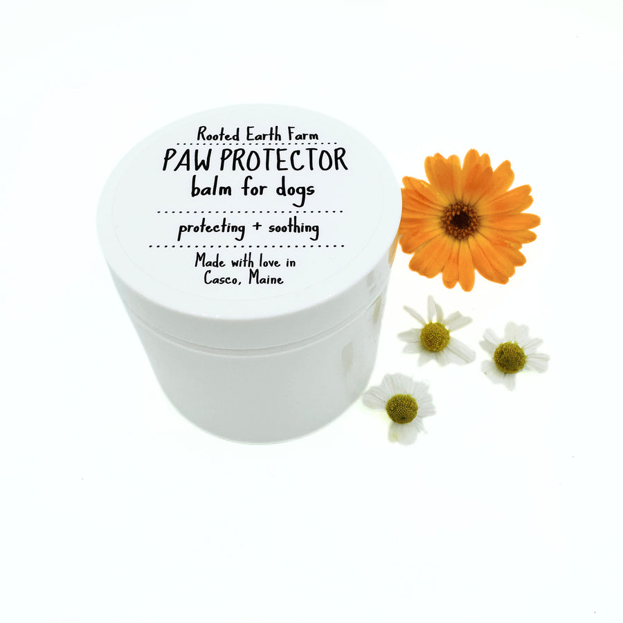 4 oz natural paw balm for dogs