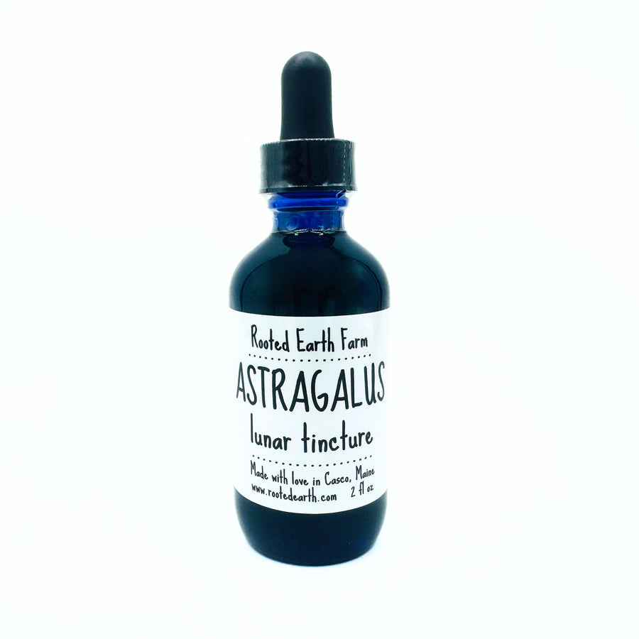 Astragalus Root Tincture