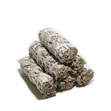 White Sage Bundle