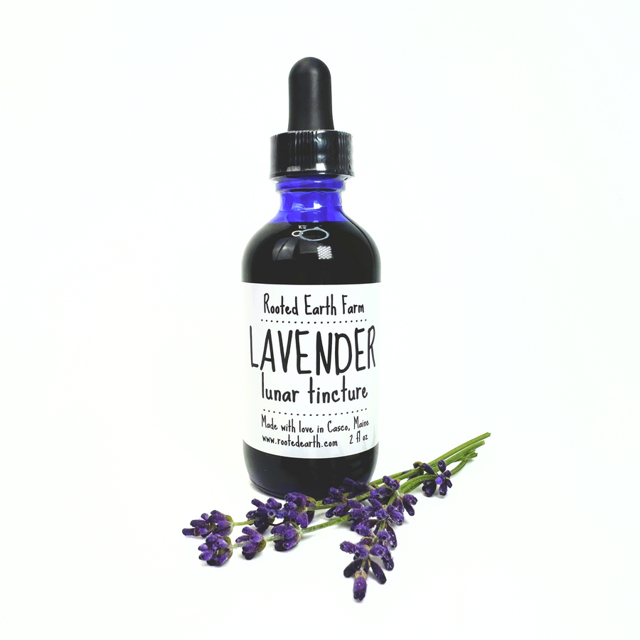 Lavender Tincture