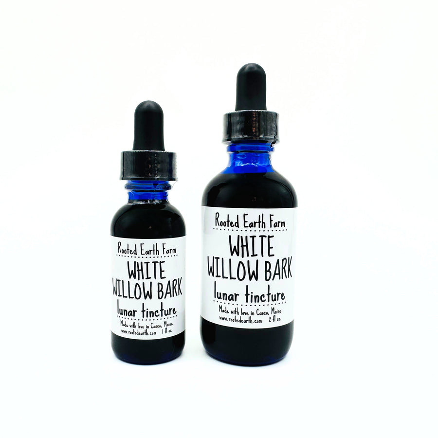 White Willow Bark Tincture