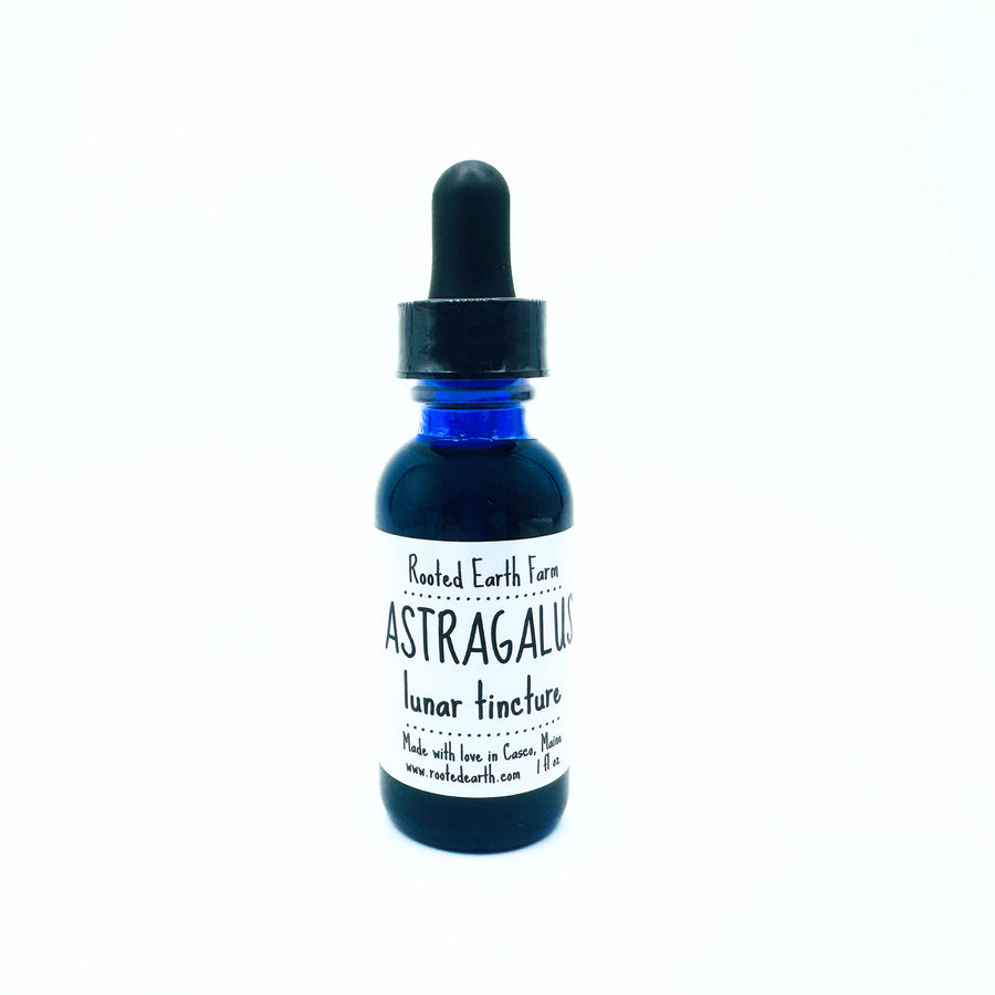 Astragalus Root Tincture