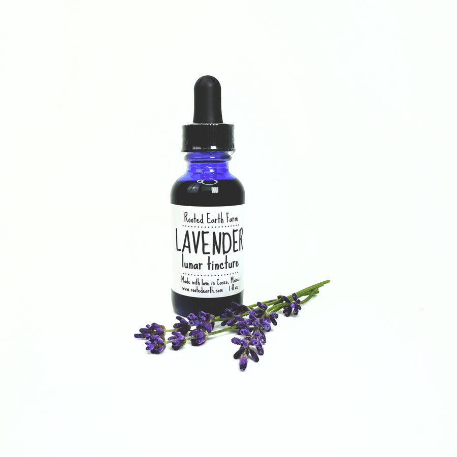 Lavender Tincture