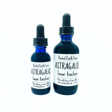 Astragalus Root Tincture, herbal extract