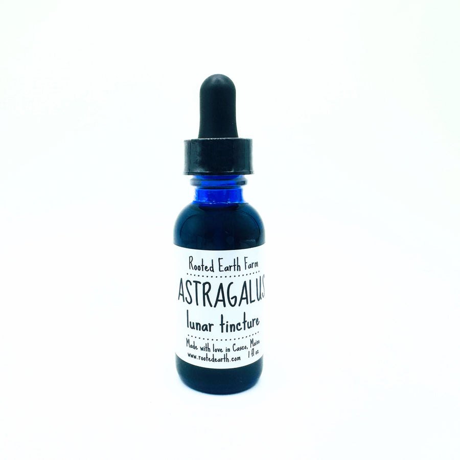 Astragalus Tincture Herbal Extract