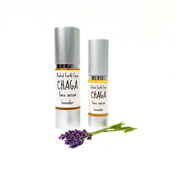 chaga face serum for antiaging, dry skin