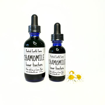 Chamomile tincture, chamomile extract, gluten free, organic chamomile flowers