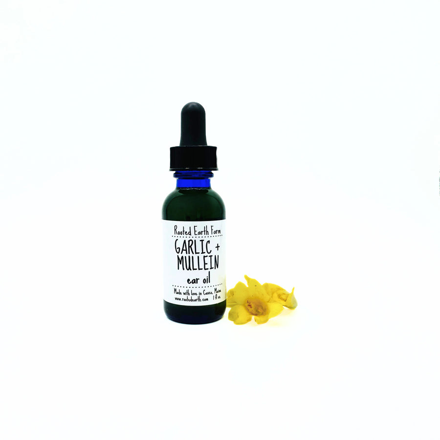 Garlic Ear Oil with Farm Grown Mullein Flowers for Ear Pain