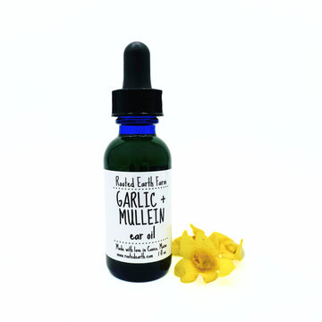 Garlic and Mullein Ear oil