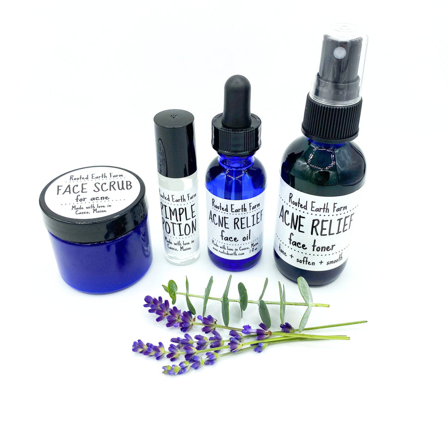 all natural, herbal skin care set for acne prone skin