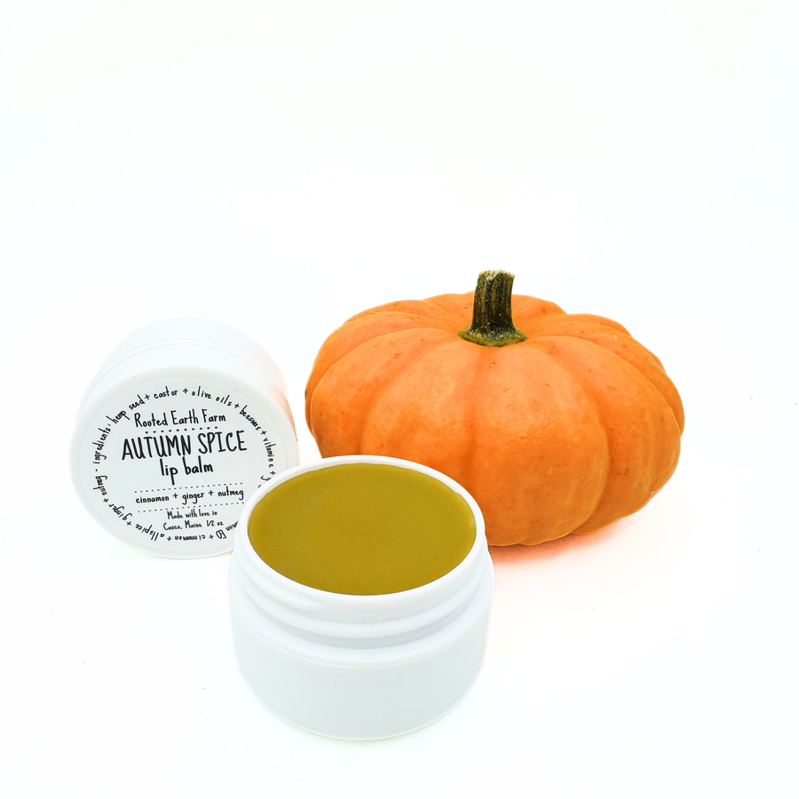 autumn spice lip balm