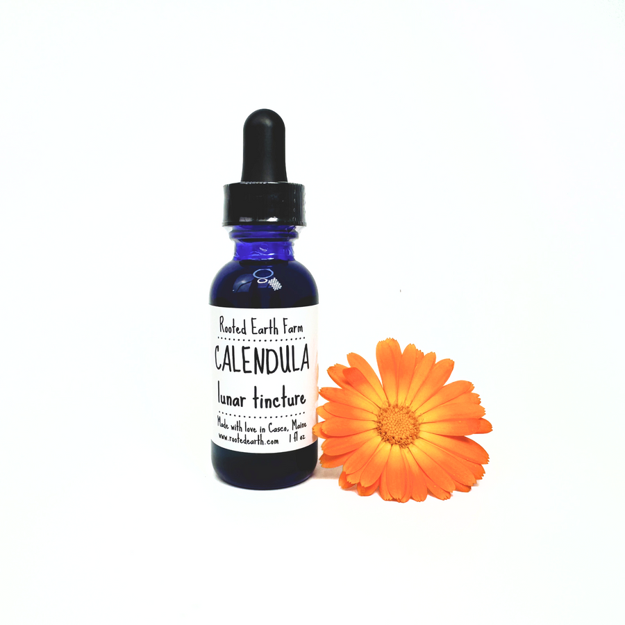 gluten free calendula tincture made with organic calendula